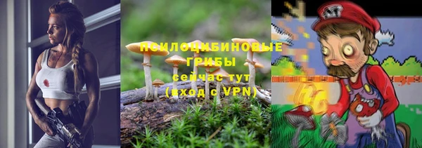 винт Горно-Алтайск