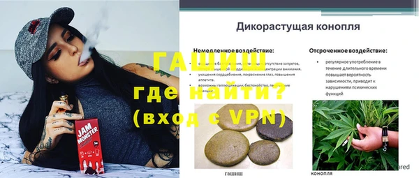 ГАЛЛЮЦИНОГЕННЫЕ ГРИБЫ Горнозаводск
